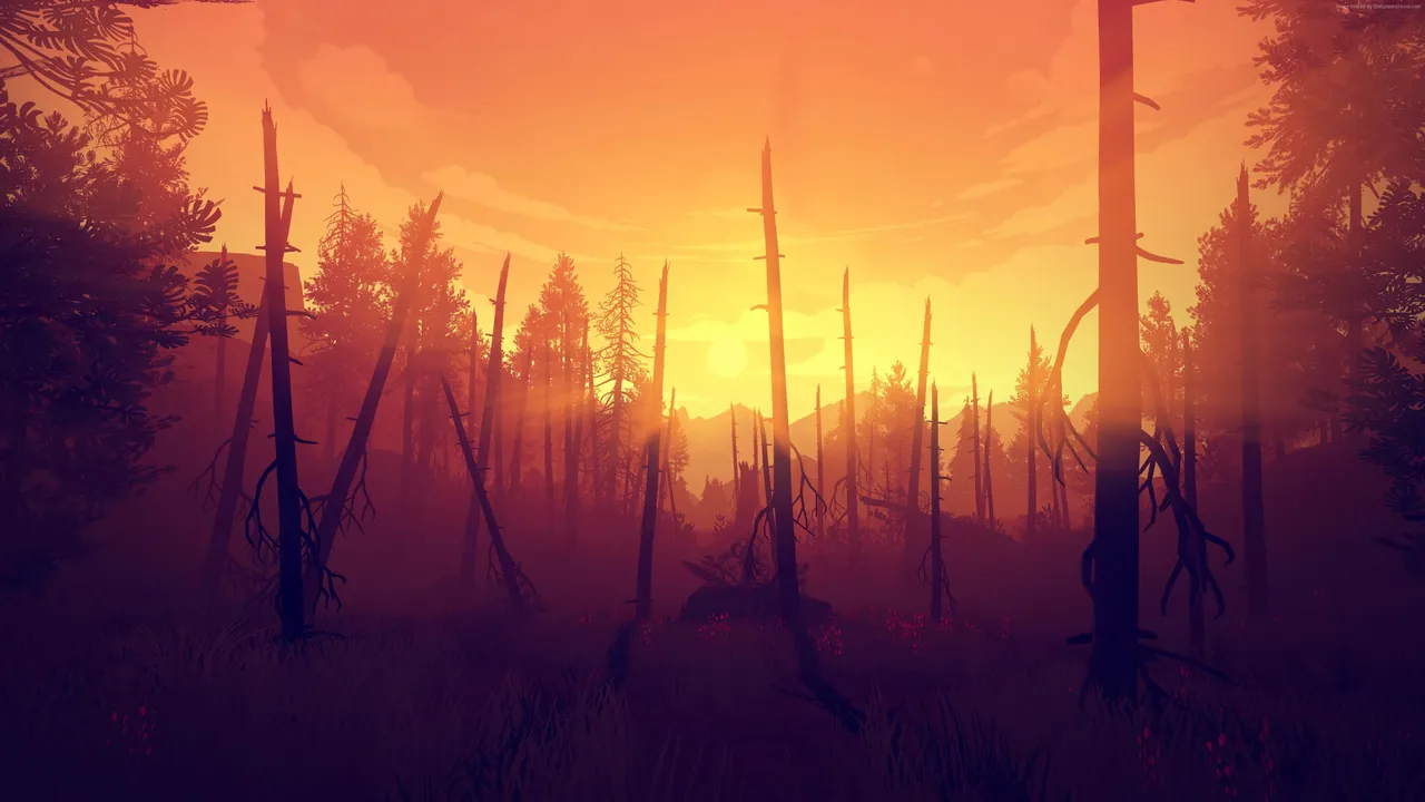 Forest with dead trees at sunset