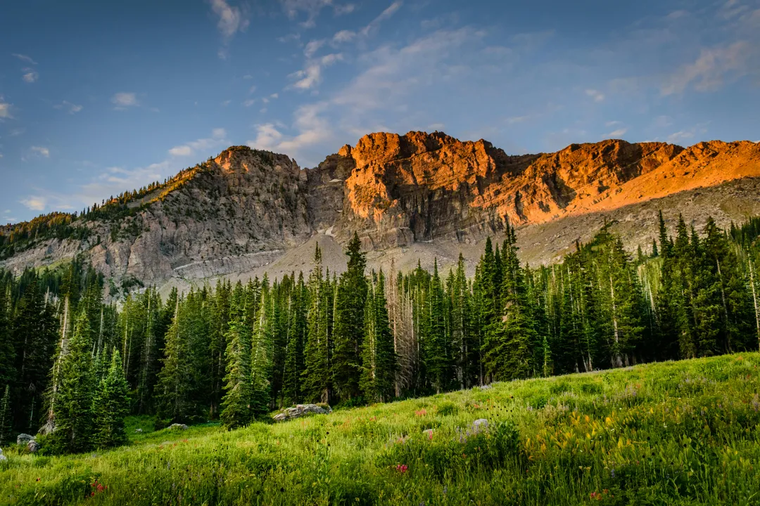 Mountain and meadow at sunrise