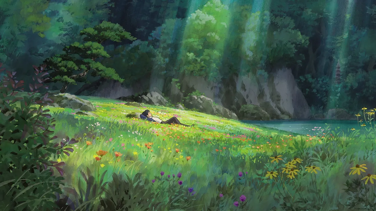 Person resting in a meadow